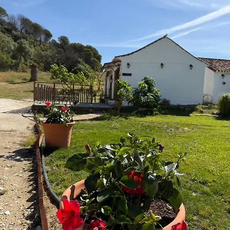 Chalet Santa Teresa, Casa La Higuera