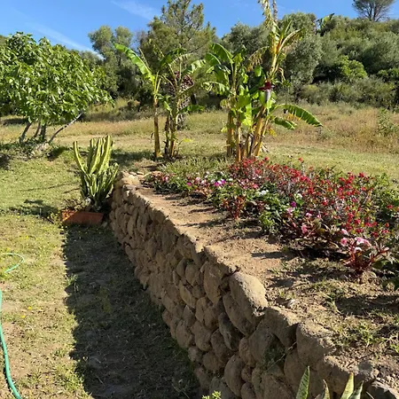 Chalet Santa Teresa, Casa La Higuera